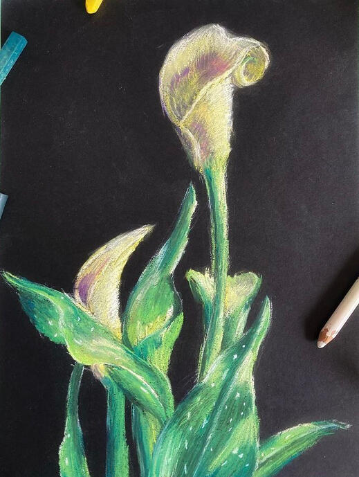 Calla Lily Study - Dry Pastels